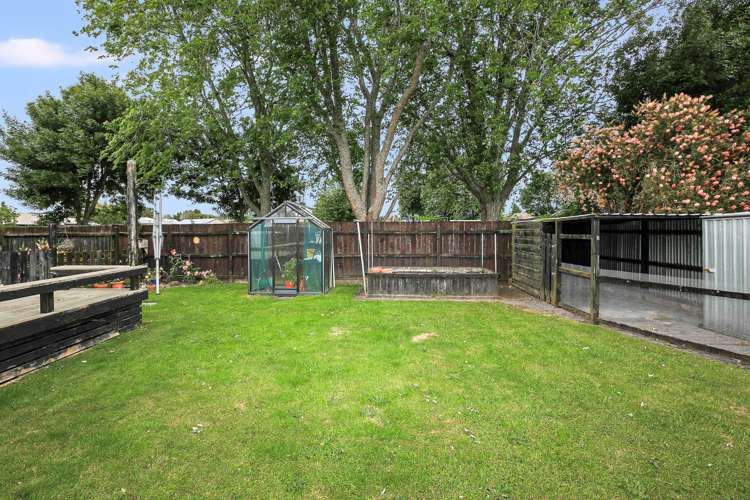 80 Dominion Road Nawton_5