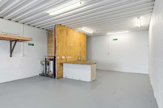 16/410 The Esplanade Island Bay_3