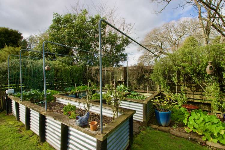 1169 Franklin Street Pirongia_13