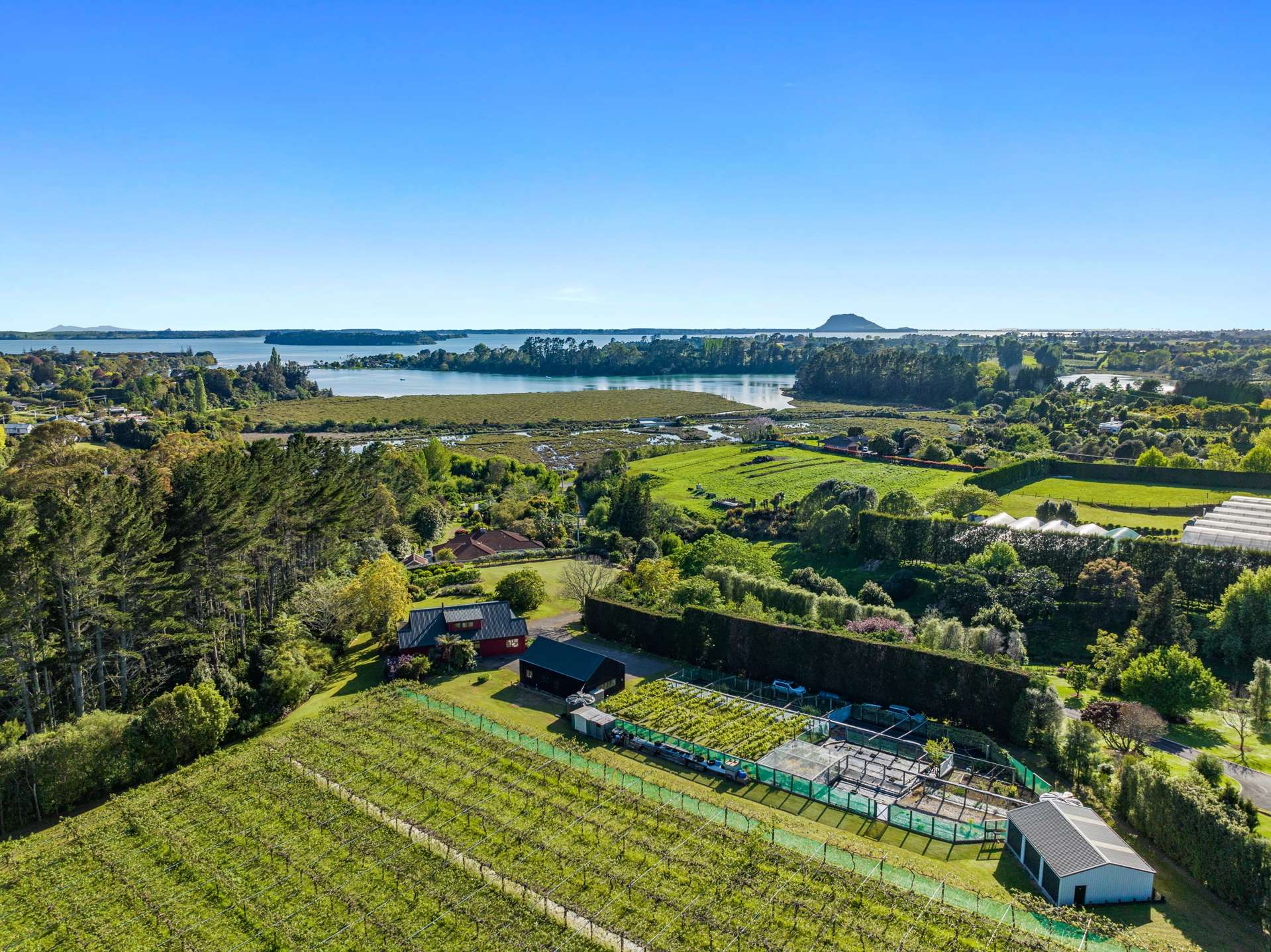 34b Jess Road Whakamarama_0