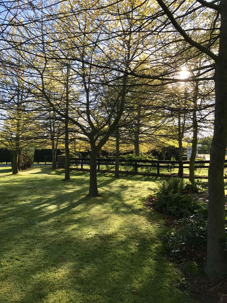 66 Coldstream Road Rangiora_20