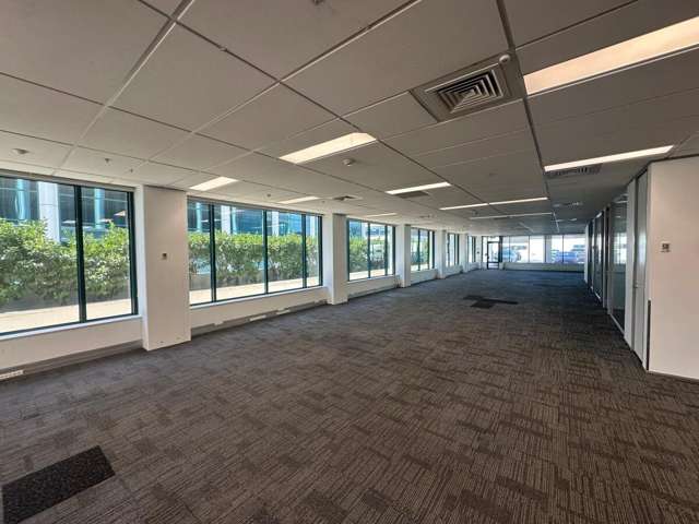 101 Carlton Gore Road Newmarket_1