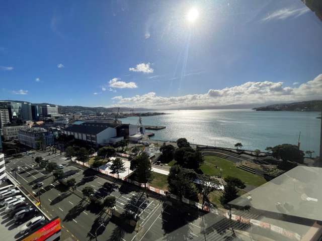 2 Willeston Street Wellington Cbd_1