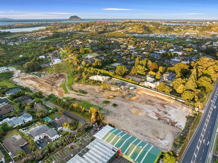 - Kauri Villas, Te Paengaroa Road Bethlehem_10