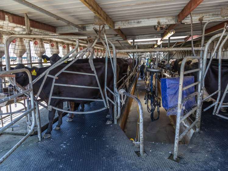 1403 South Eyre Road Swannanoa_11