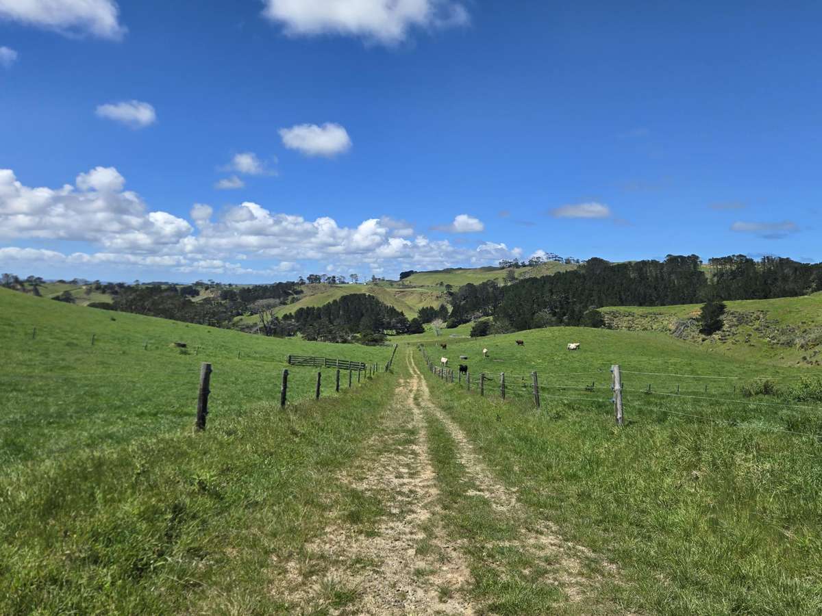 1090 Te Maire Road_4