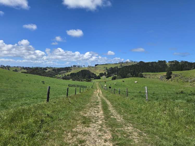 1090 Te Maire Road Dargaville_8