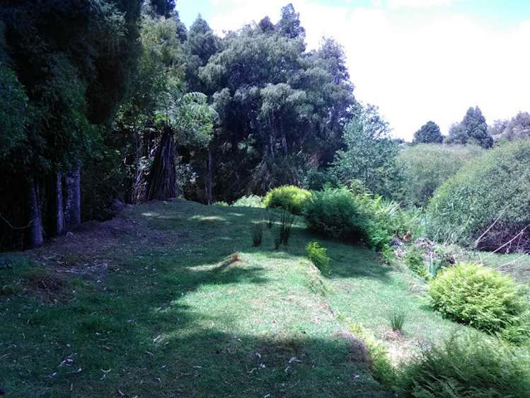 238 Punga Punga Road Pukekawa_5