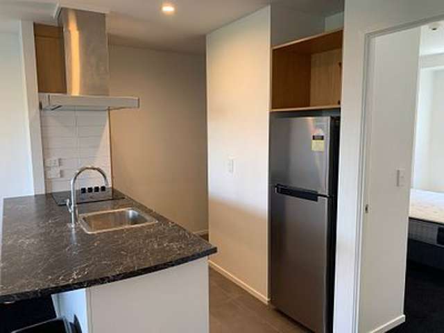 3A/6 Winchester Street Grey Lynn_2