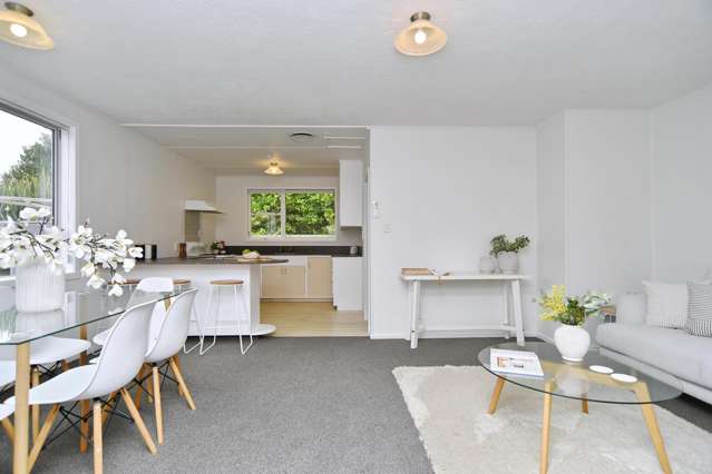 3/277 Main South Road Hornby_3