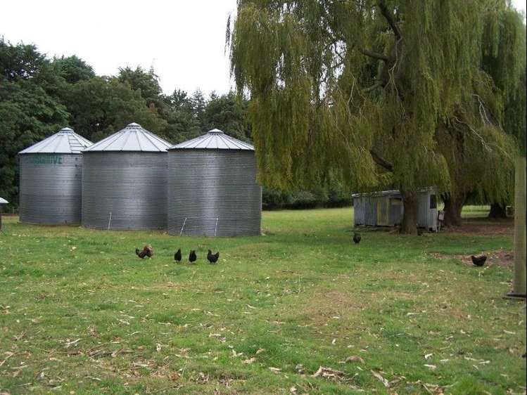 965 Georgetown-Pukeuri Road Peebles_9