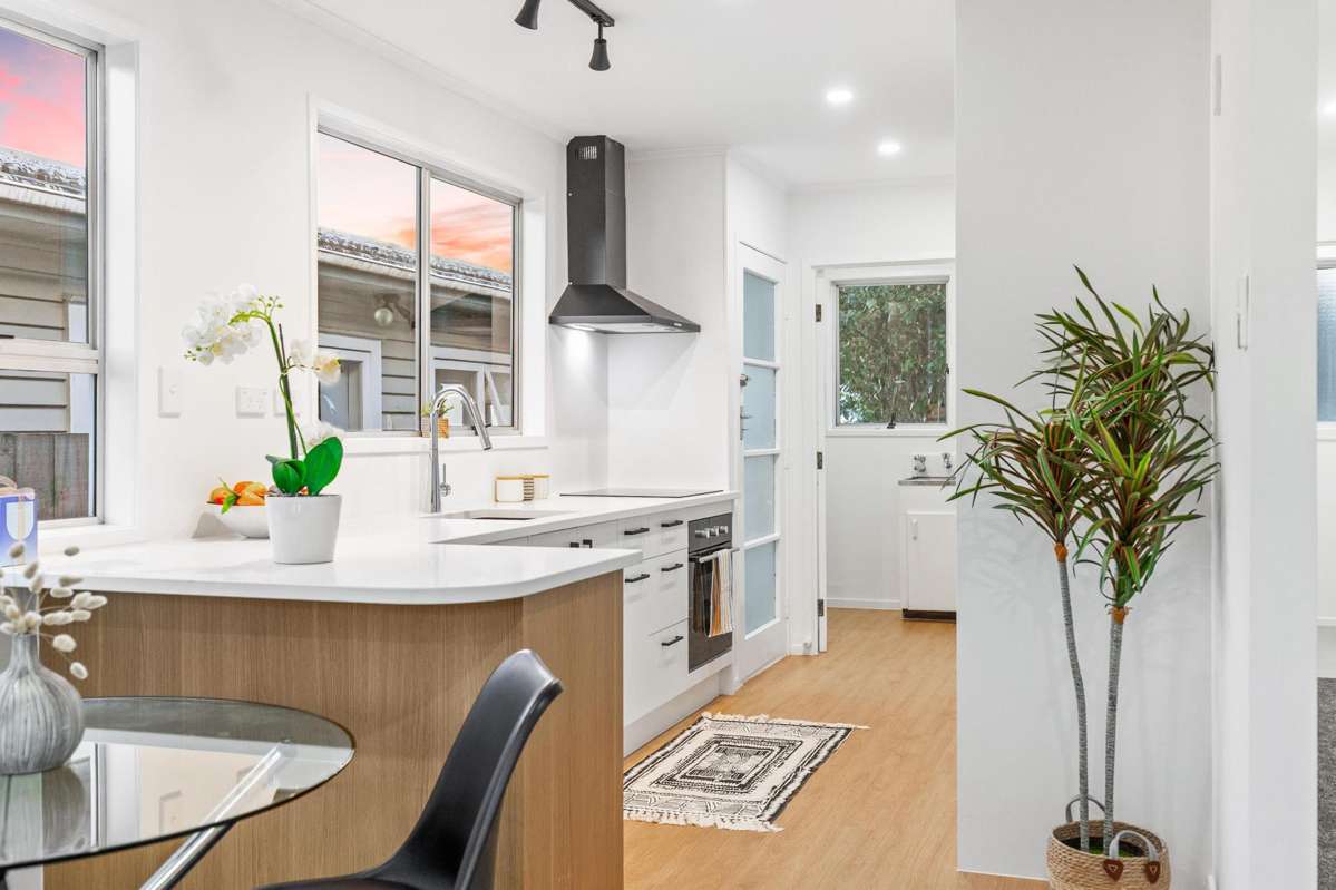 40b Tiroroa Avenue_0