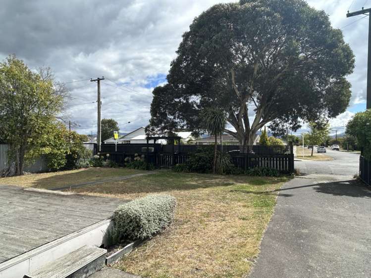 97 Cleghorn Street Redwoodtown_9