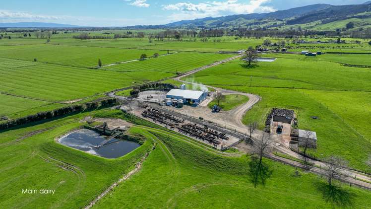 81 Station Road Puriri_1