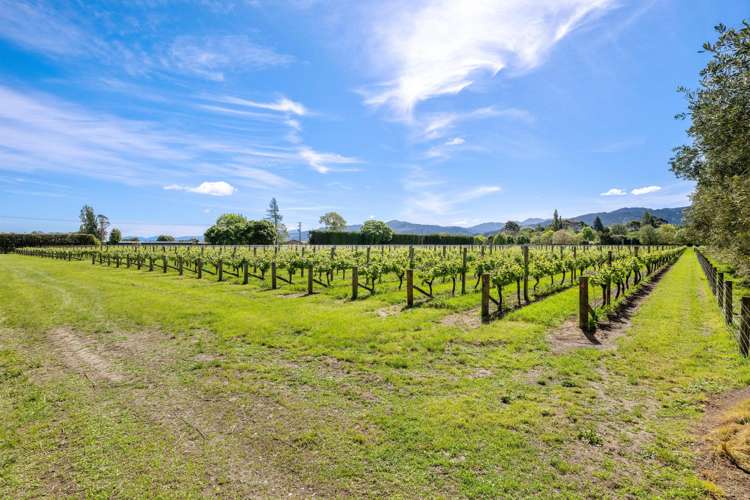 158 Murrays Road Rapaura_17