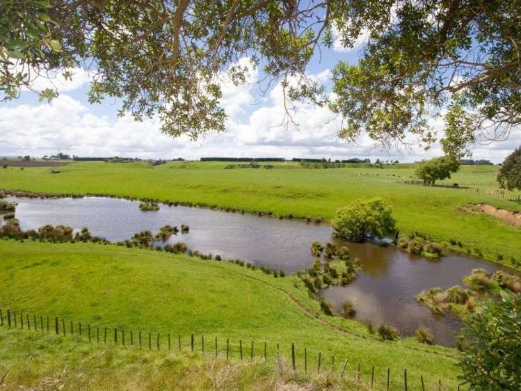 16 Dickens Lane Otamatea_12