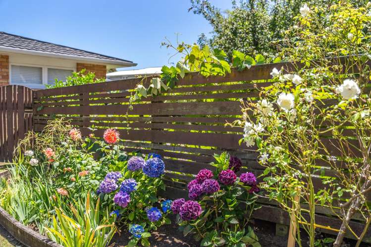 42 Tui Road Raumati Beach_19