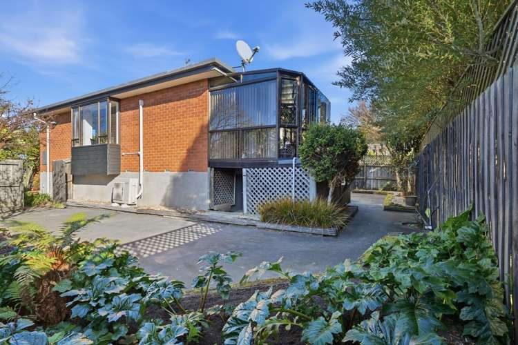 15 Lowry Avenue Redwood_11