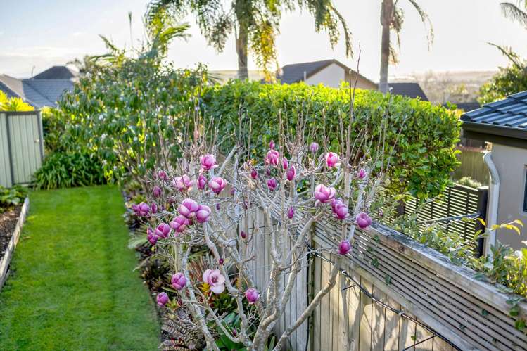 11 Brooke Ridge Rise East Tamaki Heights_35