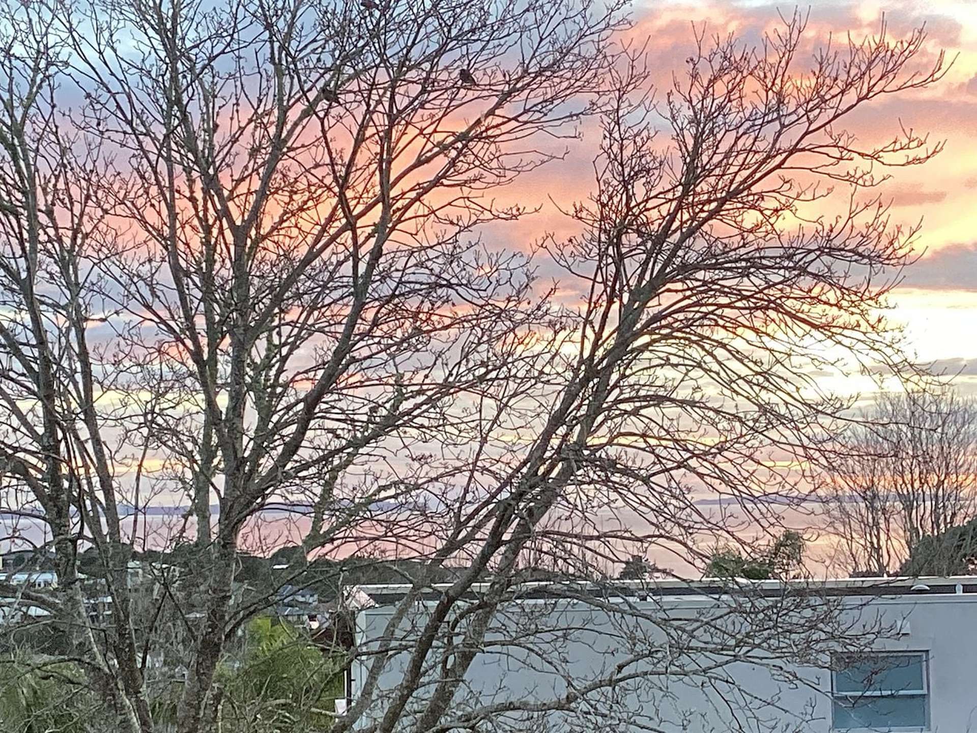 3/20 Castor Bay Road Castor Bay_0