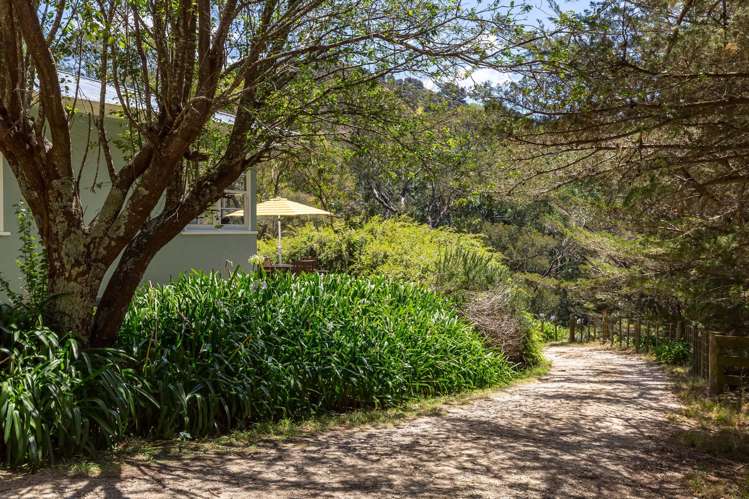 293A Manawa Road Tinui_22