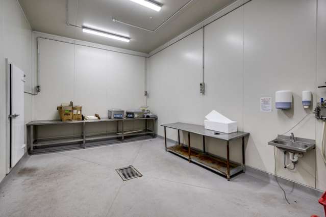 54 Pandora Road Ahuriri_1