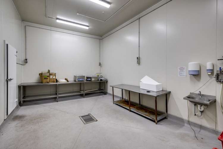 54 Pandora Road Ahuriri_1