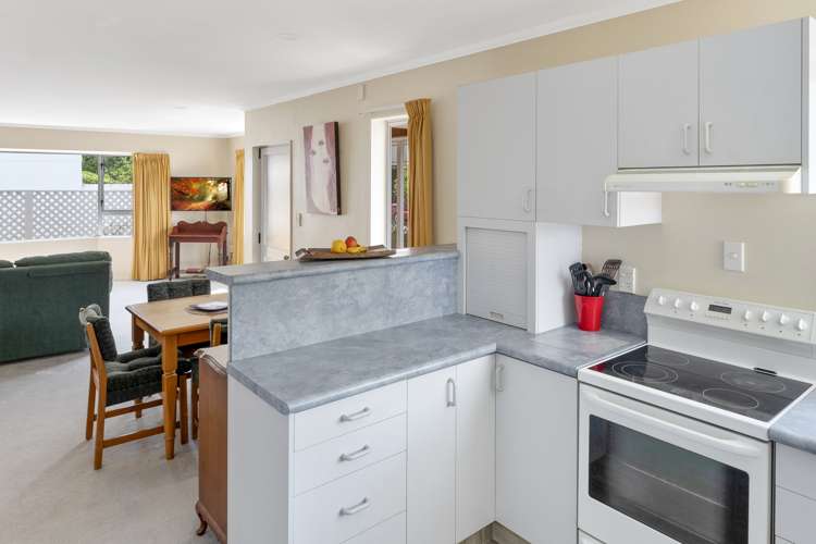 3 Andrew Street Blenheim Central_4