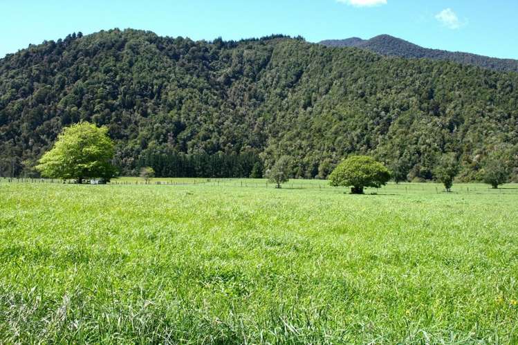 77 Maungatapu Road Rai Valley_16