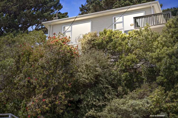 149 Townsend Road Miramar_15