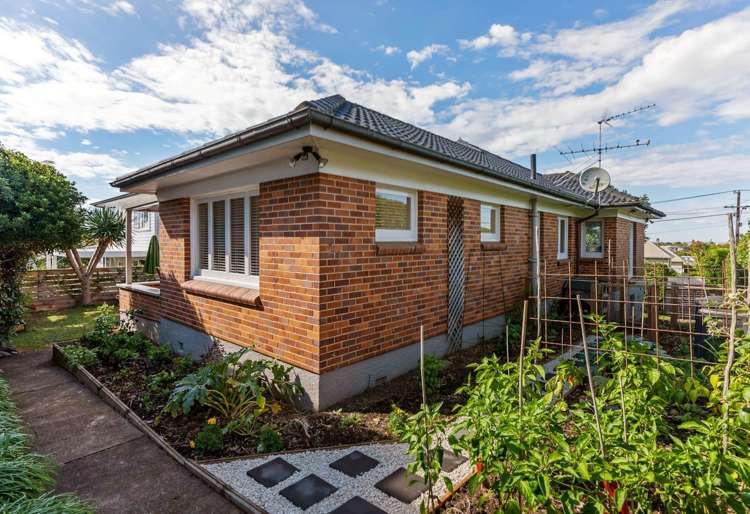 Riddell Road Glendowie_17