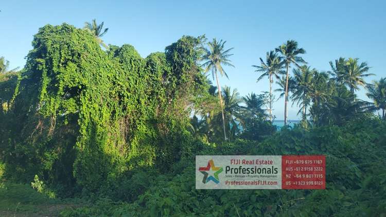 Address withheld Savusavu_34