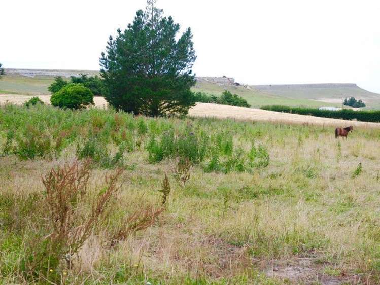 252 Tokarahi-Duntroon Road Five Forks and Surrounds_29