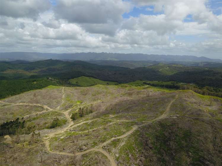 Taheke Road Horeke_6