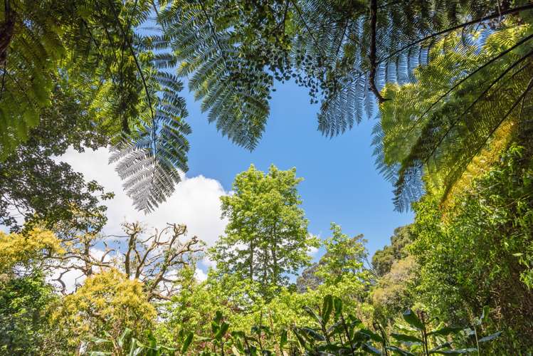 33 Glenfell Place Epsom_9