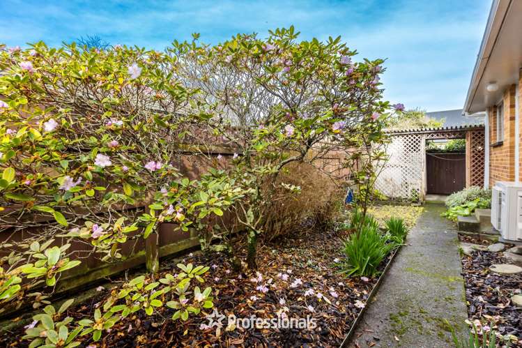 31a Thackeray Street Trentham_18