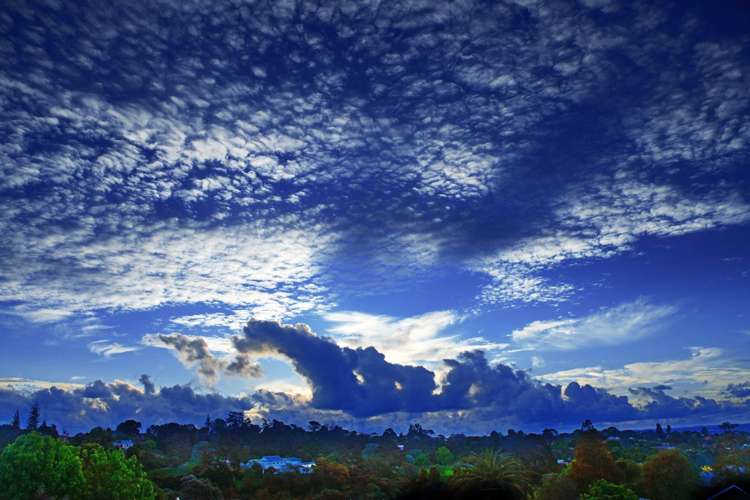 3/66a Birkdale Road Birkdale_18