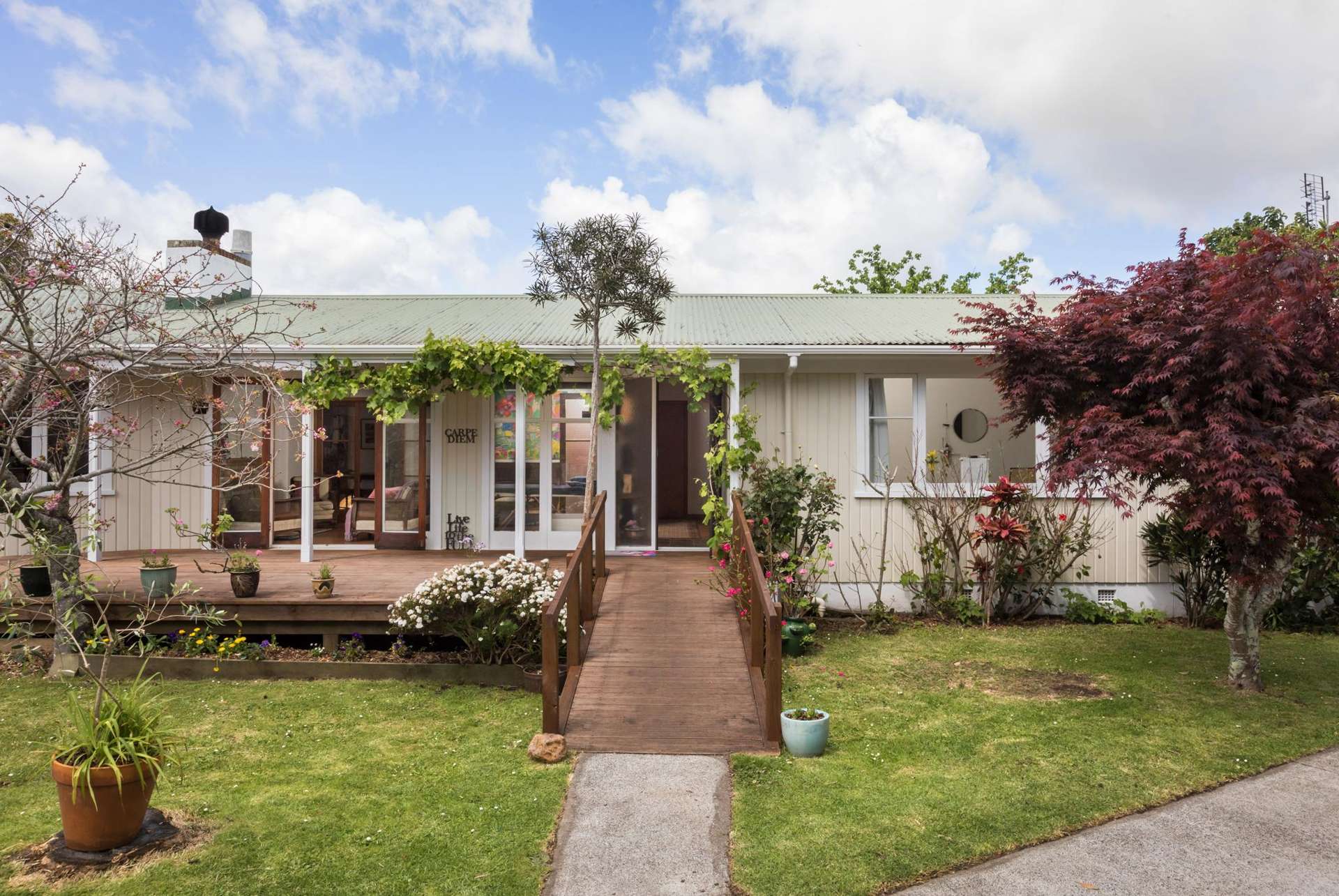 101 Alfred Street Thames_0