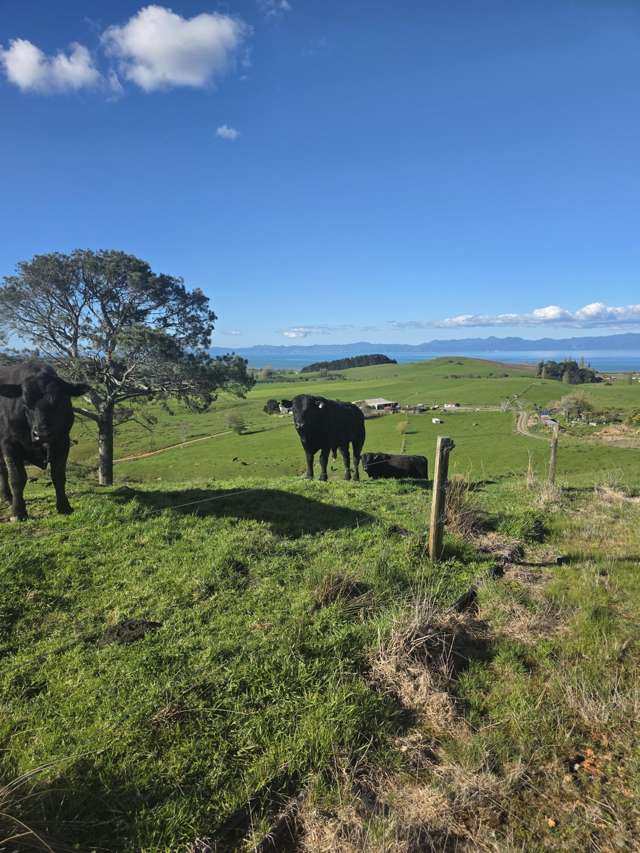 591D East Coast Road Kaiaua_3