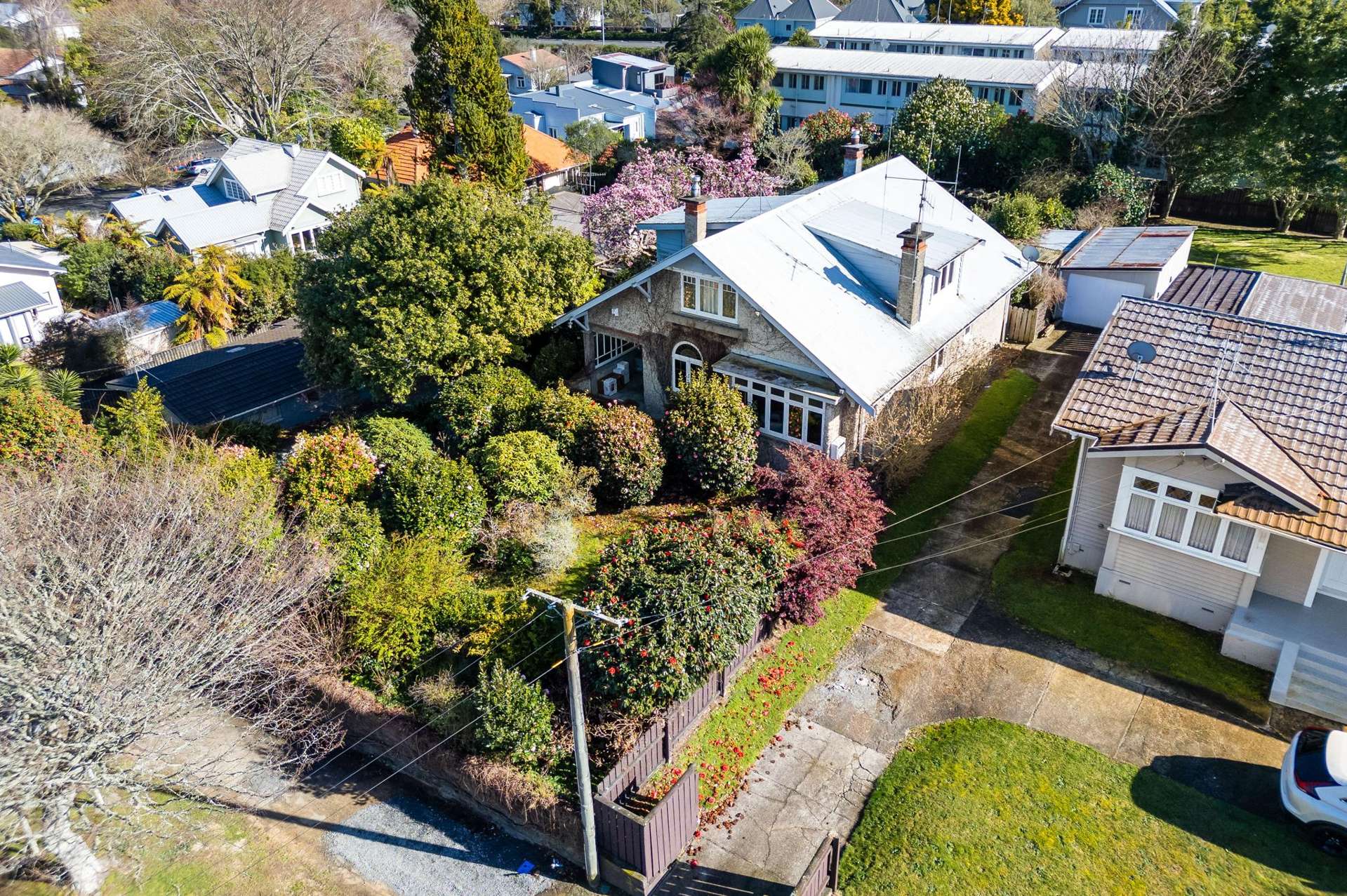 17 Te Aroha Street Hamilton East_0