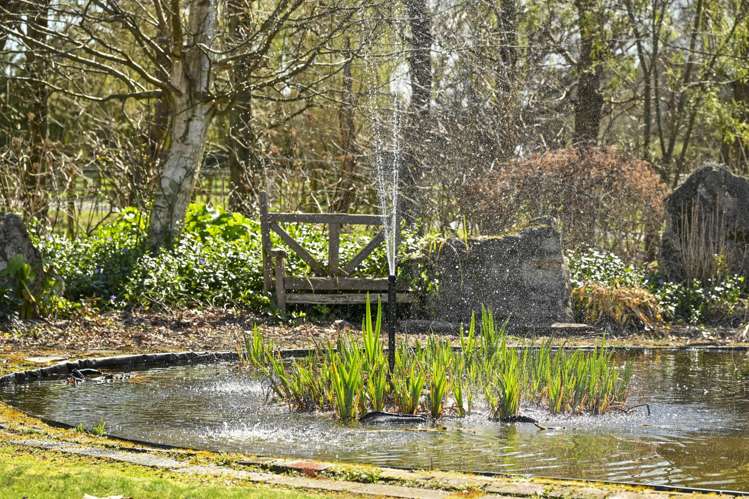 61 Ru Collin Road Bridge Pa_26