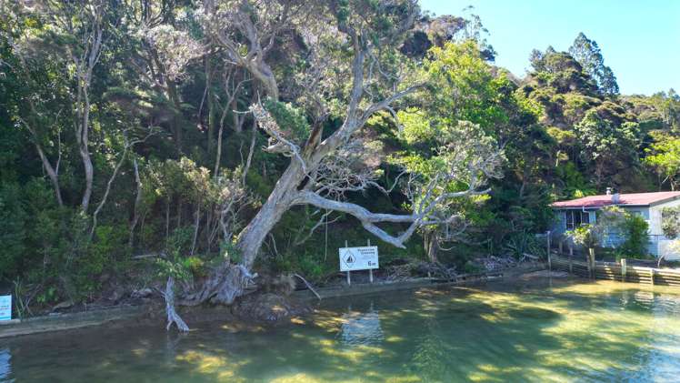 Lot 138/DP4961 North Cove Kawau Island_11