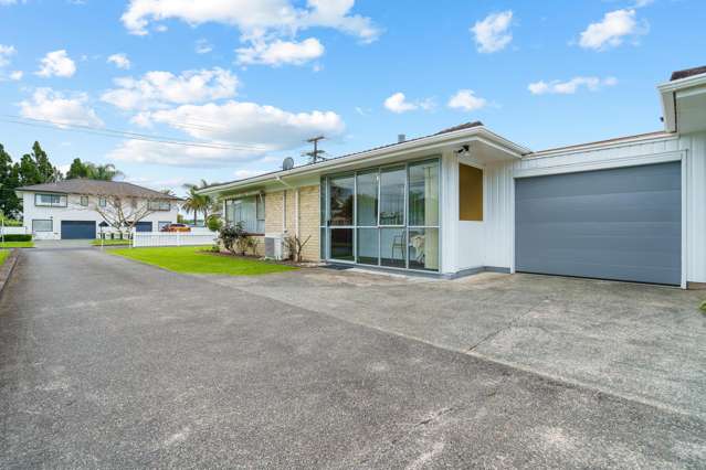29a Powhiri Avenue Kensington_2