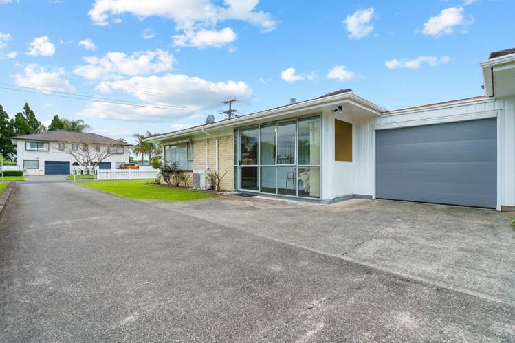 29a Powhiri Avenue Kensington_2