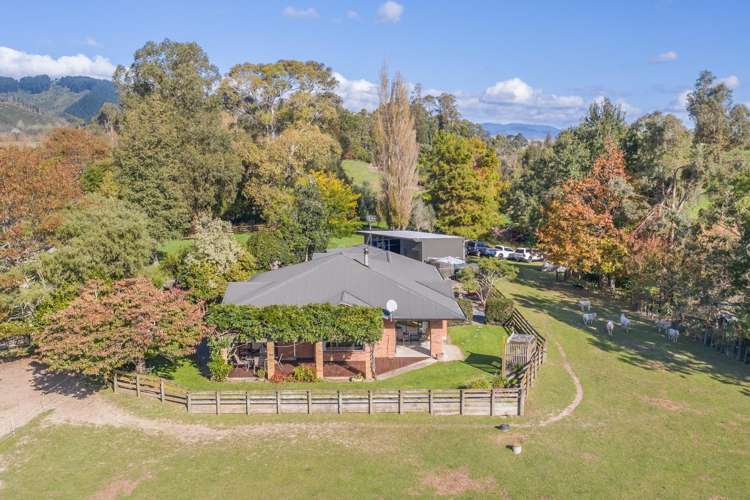 54 Potts Road_1