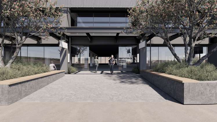 4 Fred Thomas Drive Takapuna_7