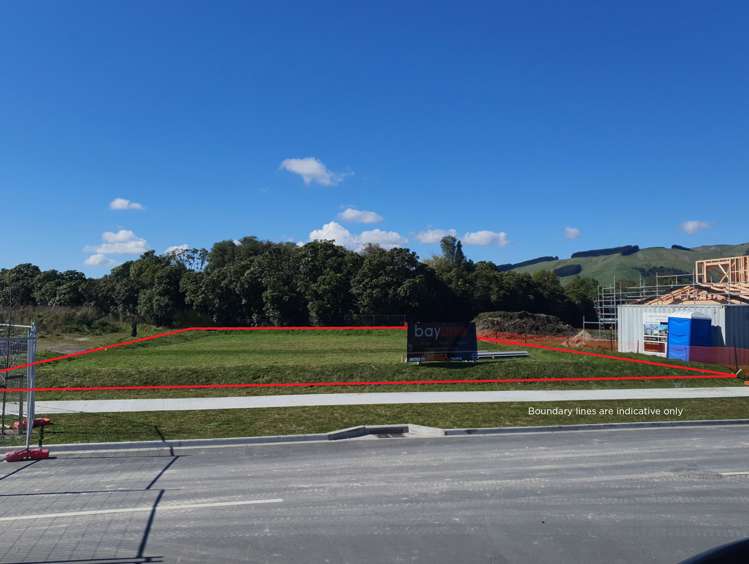 42 Okaia Drive Kinloch_3