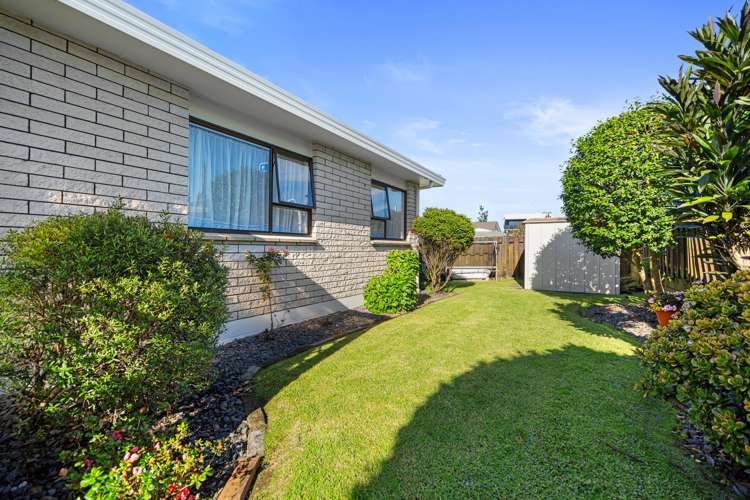 40a Cambridge Road Judea_3