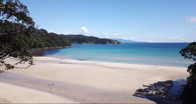 458 Shoal Bay Road Great Barrier Island (Aotea Island)_2