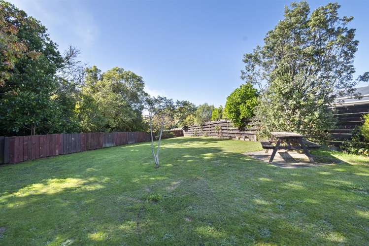 6 Milne Street Sanson_26